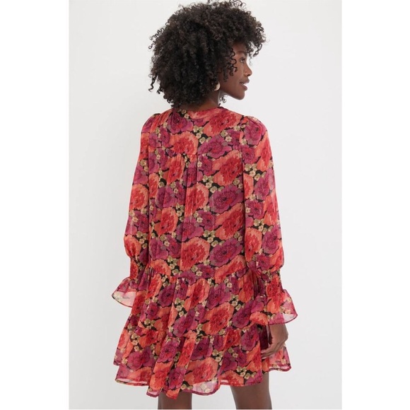 Tuckernuck Pomander Place Rose Chiffon Kenzo Mini Dress Floral Tinsel Small - Picture 2 of 8